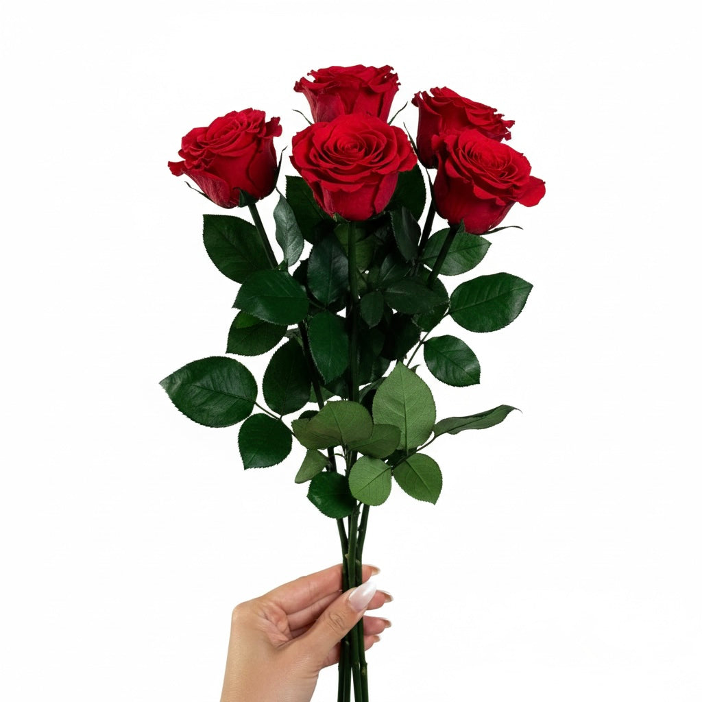 #farbe_red