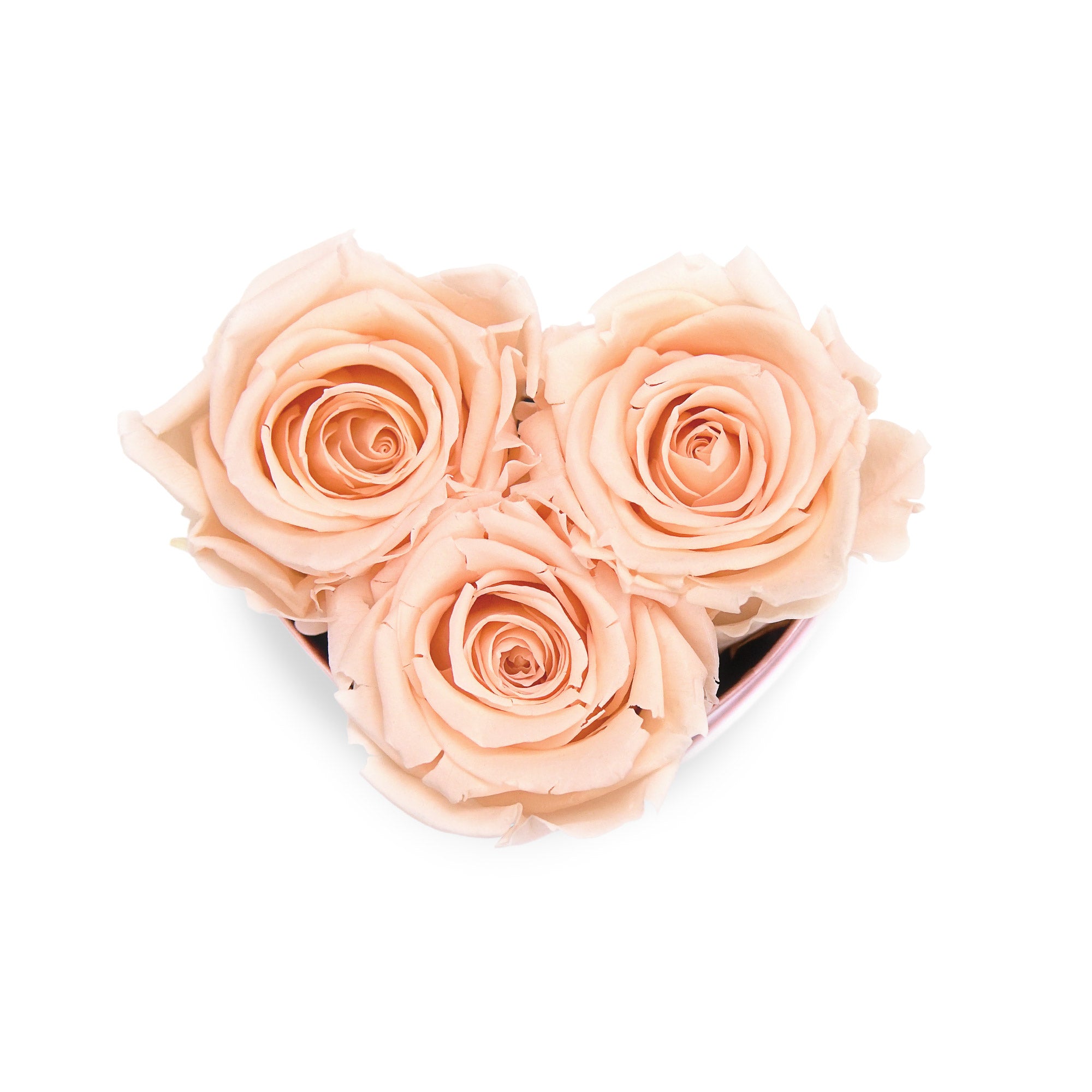 #Farbe_peach