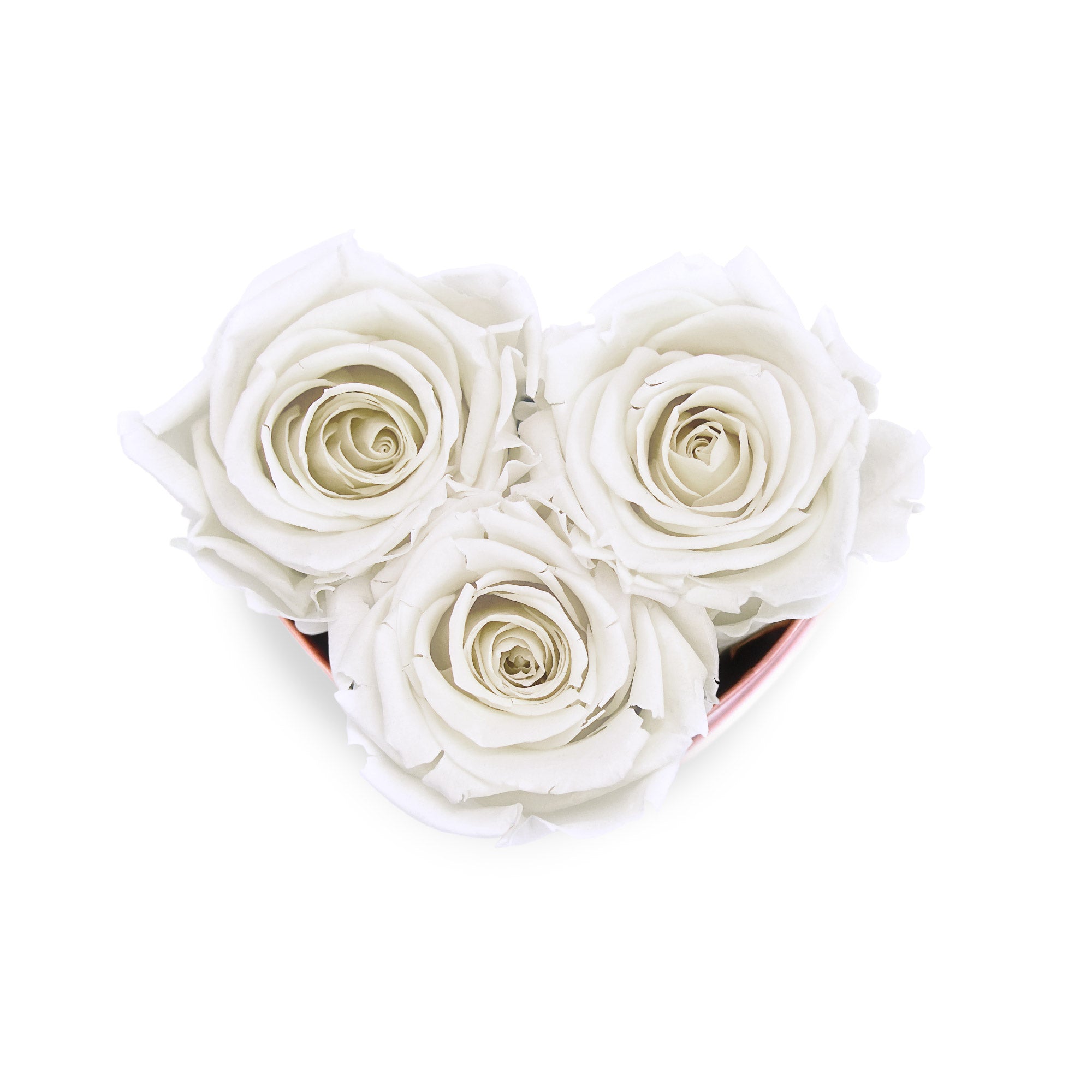#Farbe_white