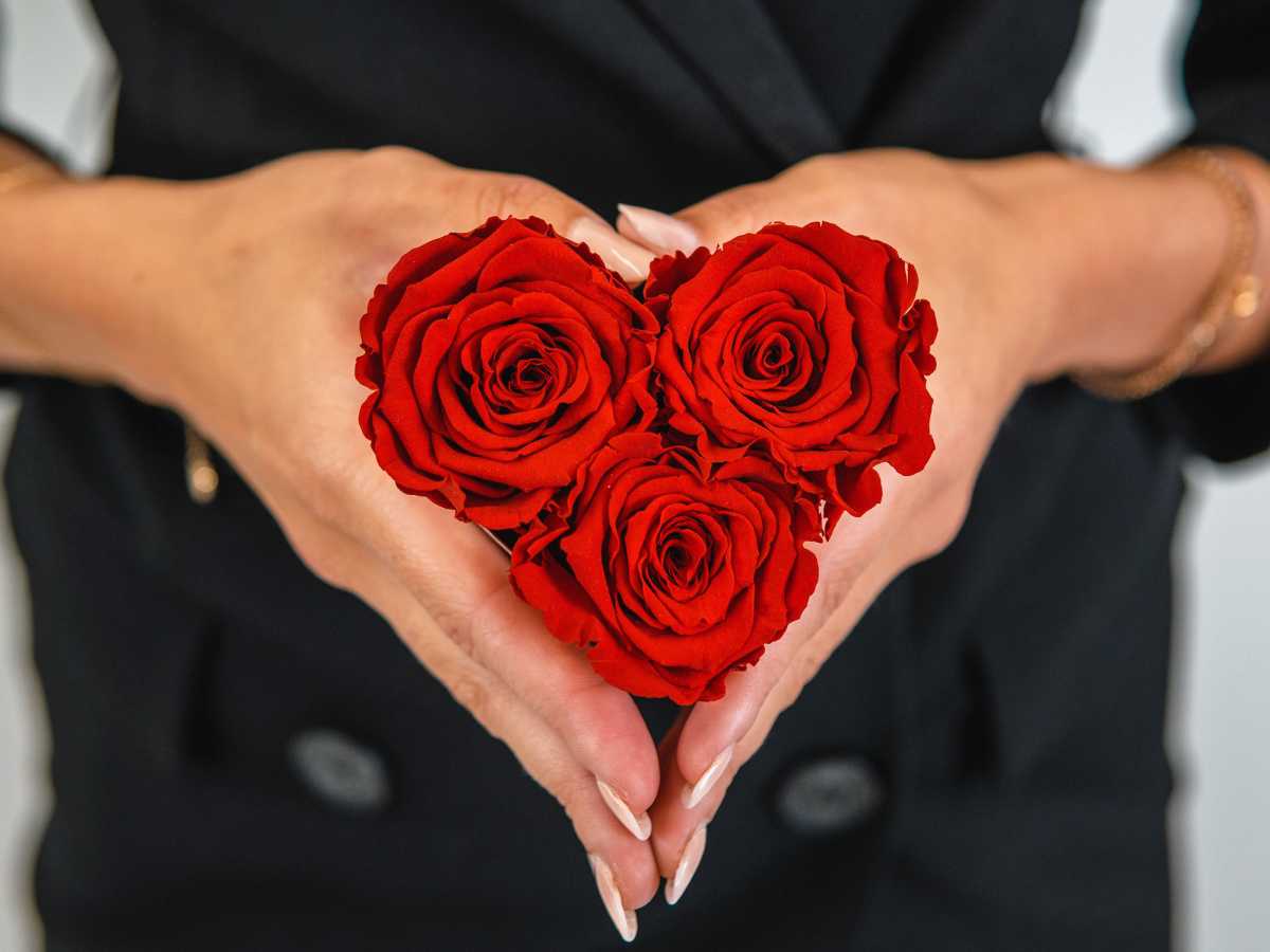 What are Infinity Roses?