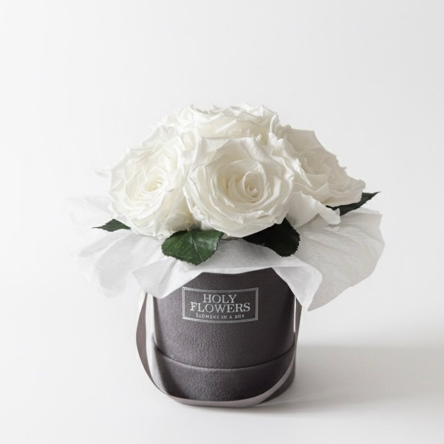 Infinity Rosen | Bouquet Velvet | XS